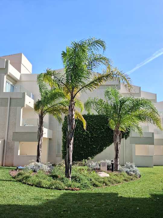 Ausblick Hipotels Mediterraneo Club