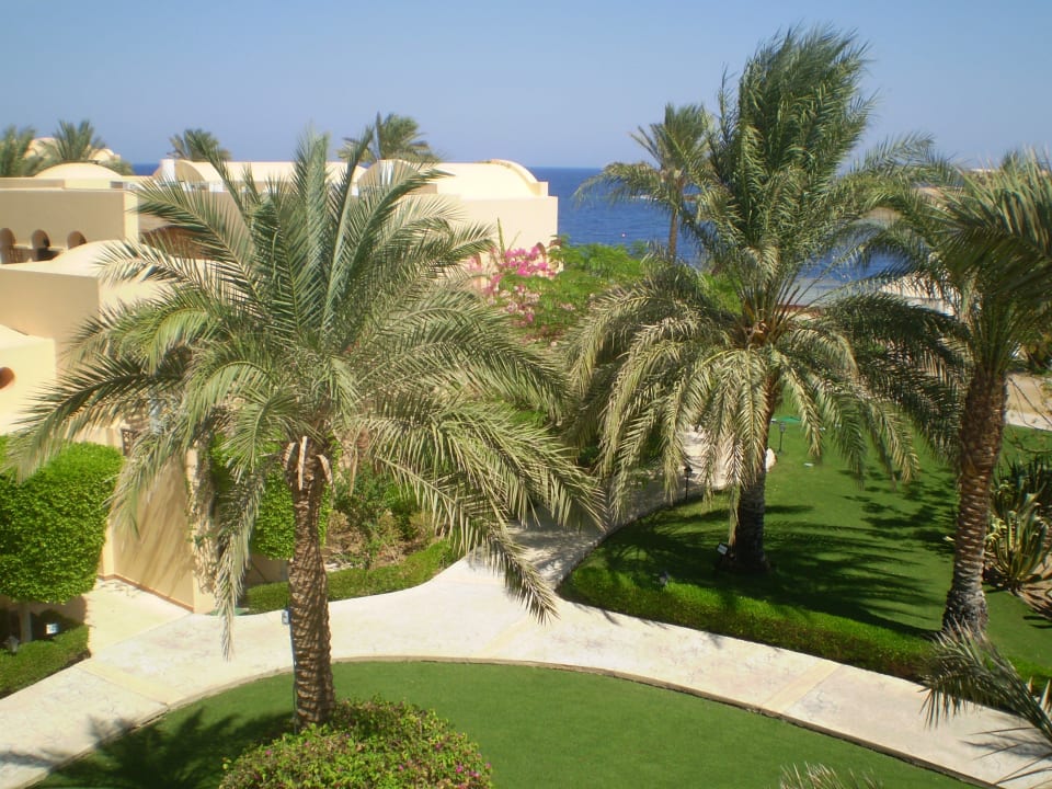 Gartenblick Steigenberger Coraya Beach - Adults only