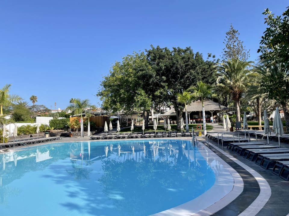 Pool Barceló Margaritas Royal Level