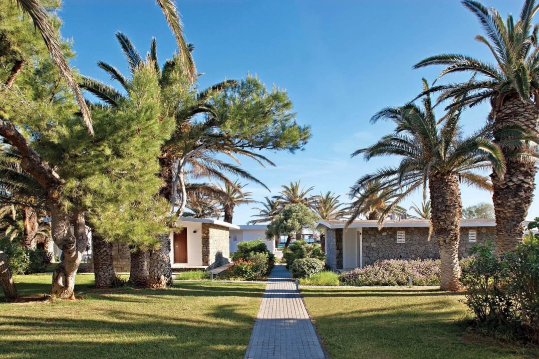 Creta Beach Palm Trees Garden Civitel Creta Beach
