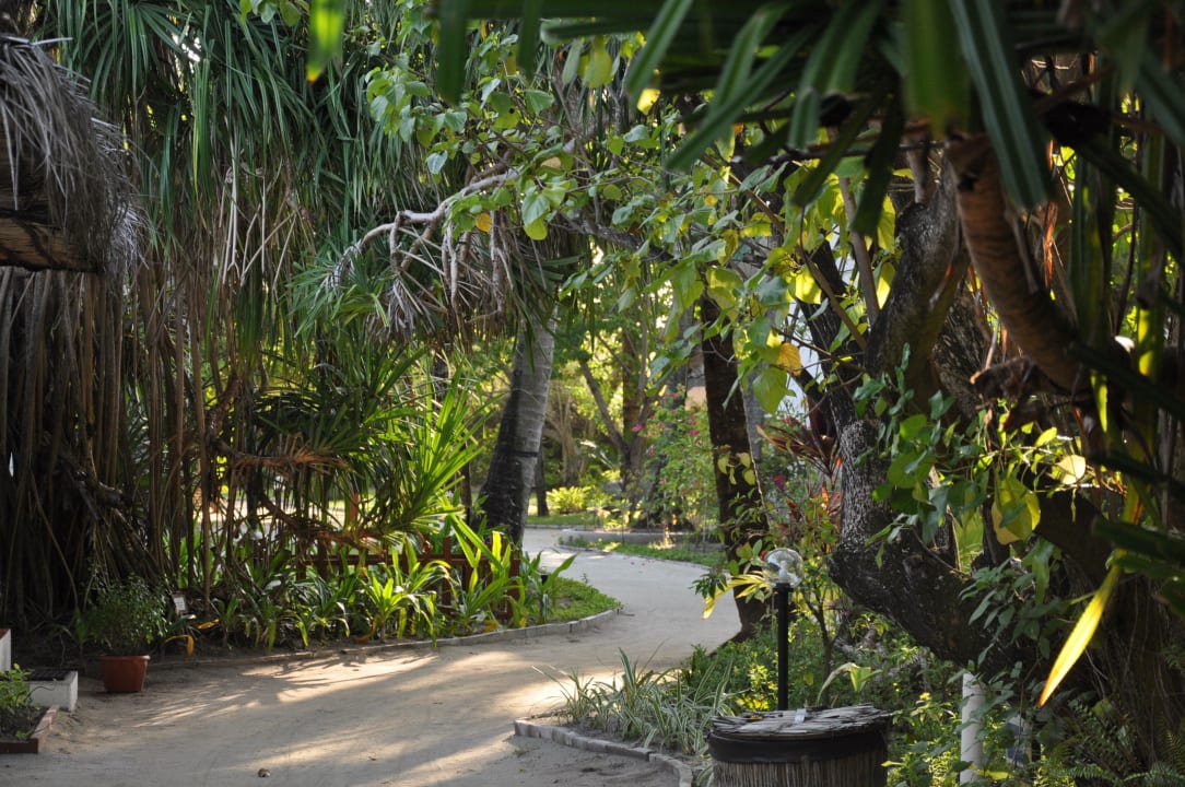 Ohne Worte Cinnamon Hakuraa Huraa Maldives