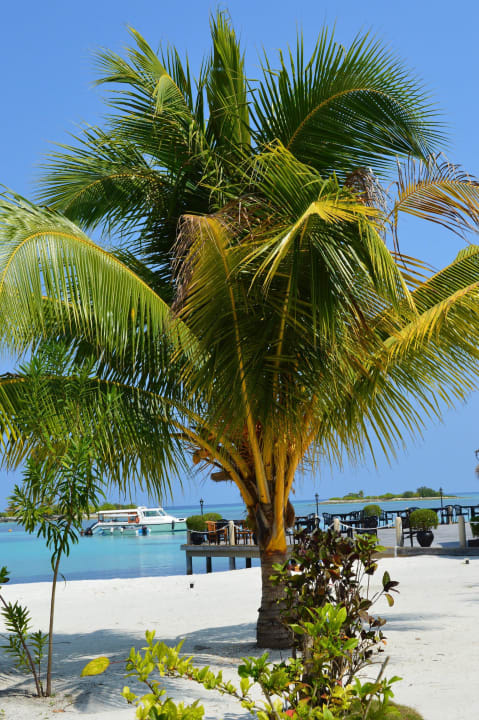 Palme Adaaran Select Hudhuran Fushi - Premium All Inclusive