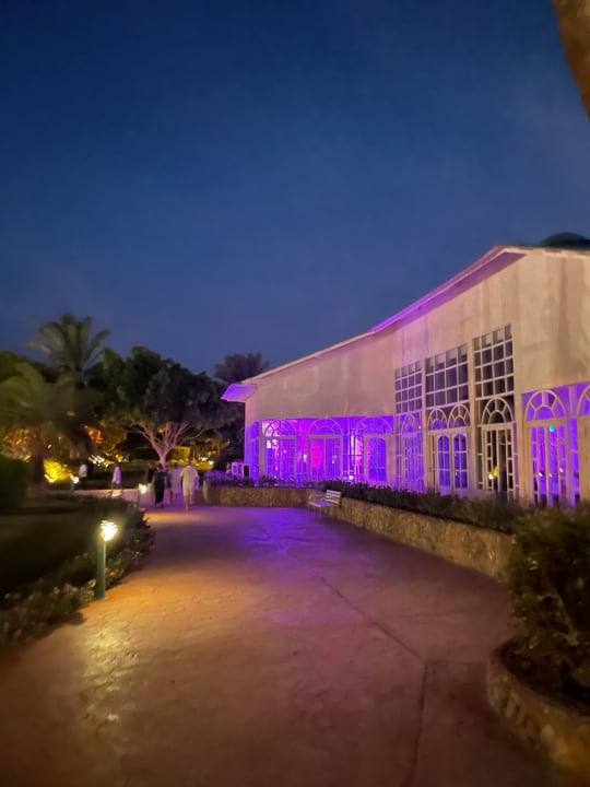 Gartenanlage Desert Rose