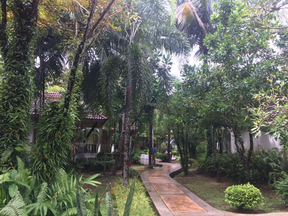 Gartenanlage Baan Khaolak Beach Resort