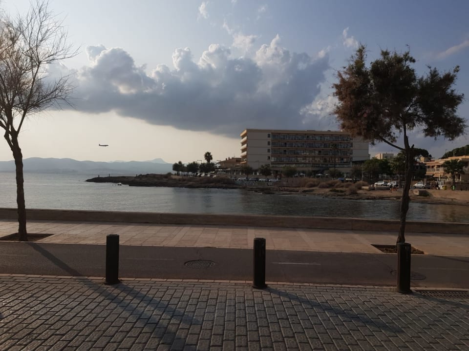 Außenansicht AluaSoul Palma