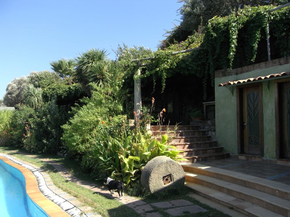 Sauber, riesig, superschön Hotel & Art Antik Zeytin