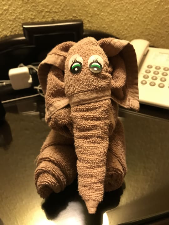 Zimmer Hotel Riu Tequila