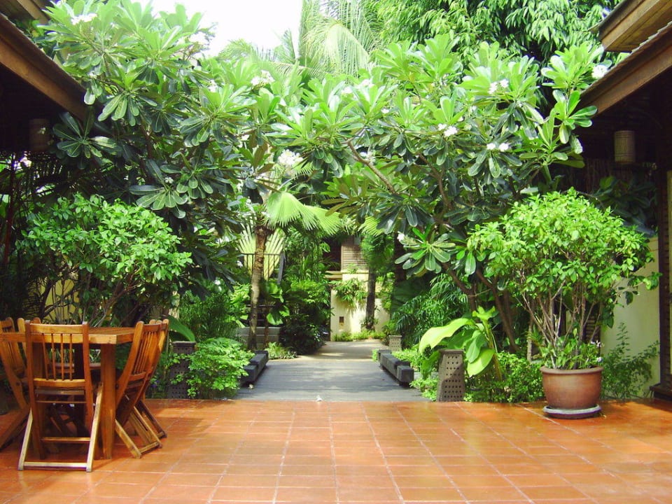 Grün, grün Buri Rasa Village Samui Adults Only Resort