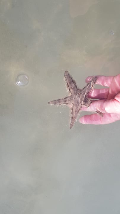 Strand DoubleTree by Hilton Resort & Spa Marjan Island