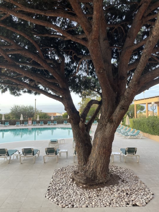 Pool Hotel Vila Galé Atlântico