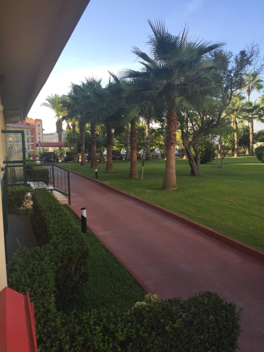 Ausblick aus dem Zimmer Hotel Miramare Beach