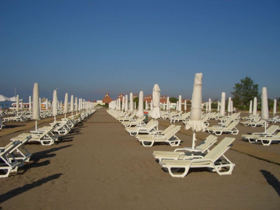 Strand Lara Barut Collection