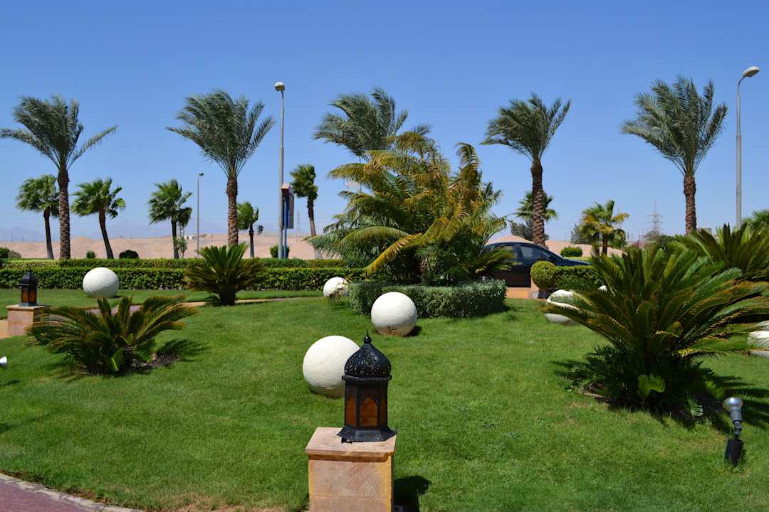 Vorm Eingang Pickalbatros Palace Resort