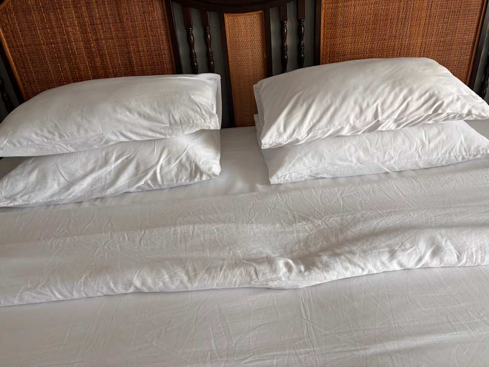 Zimmer Away Chiang Mai Thapae Resort - A Vegan Retreat