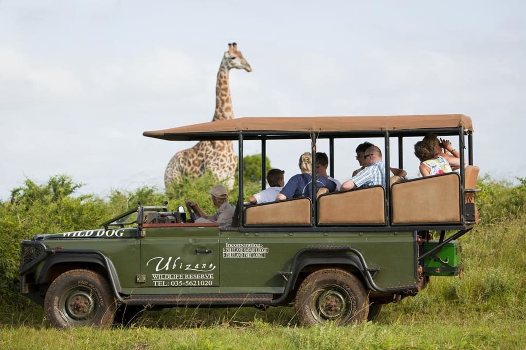 Ubizane Game Drive Ubizane Zululand Safari Lodge