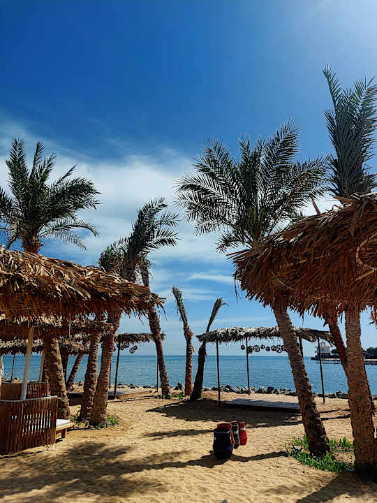 Außenansicht Desert Rose