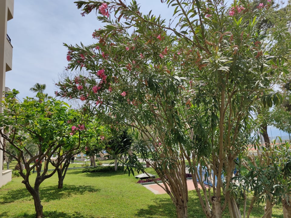 Gartenanlage Labranda Alantur Resort