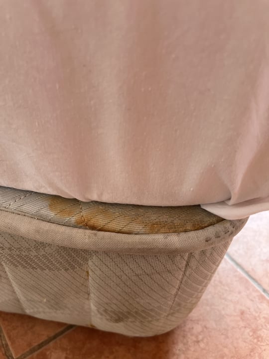 Zimmer Cinar Family Suite Hotel