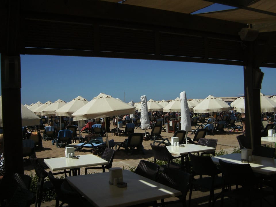 Strandbar zu Mittagszeit Sentido Trendy Verbena Beach