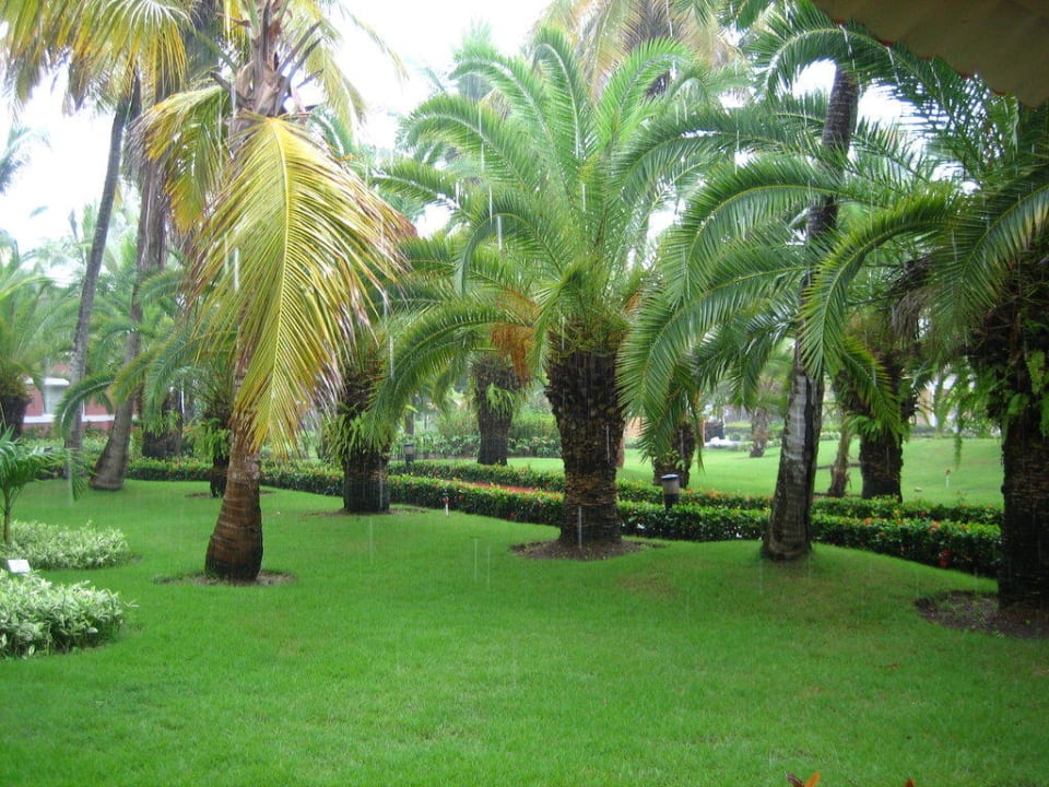 Super gepflegte Gartenanlage Grand Palladium Select Bávaro Resort & Spa
