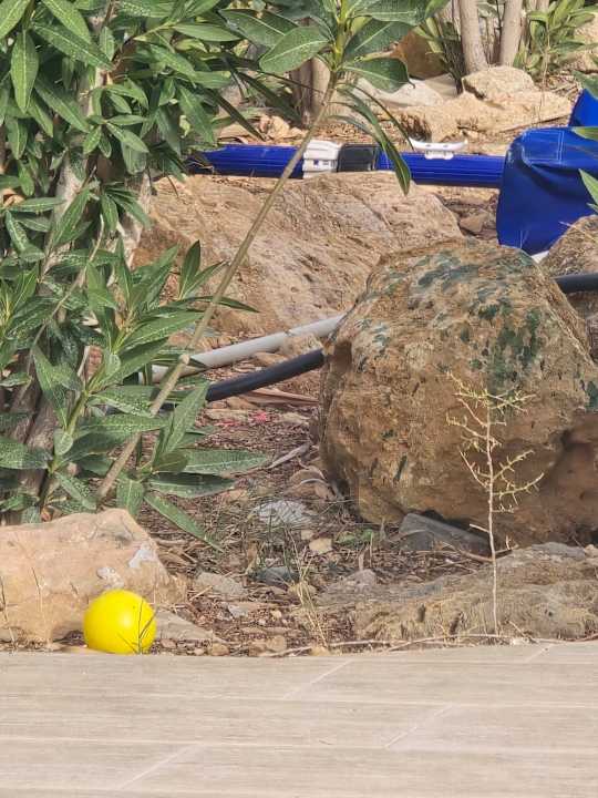 Gartenanlage Green Bay Resort & Spa