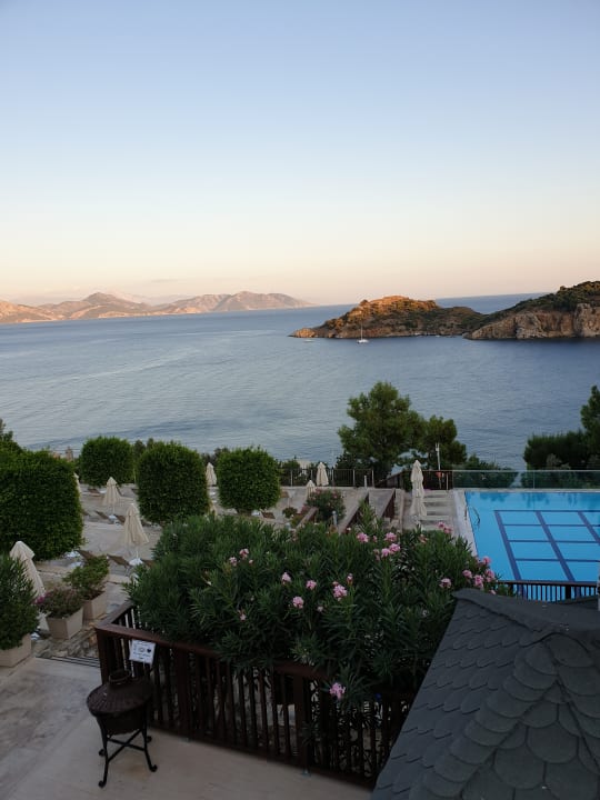 Pool TUI BLUE Seno - Adults Only