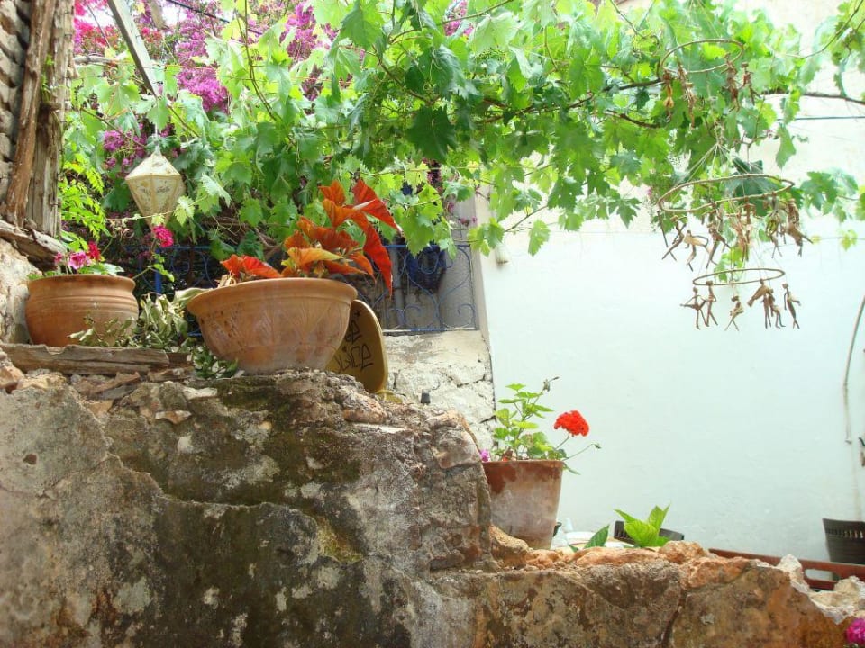 Blütenpracht Hotel Orkinos