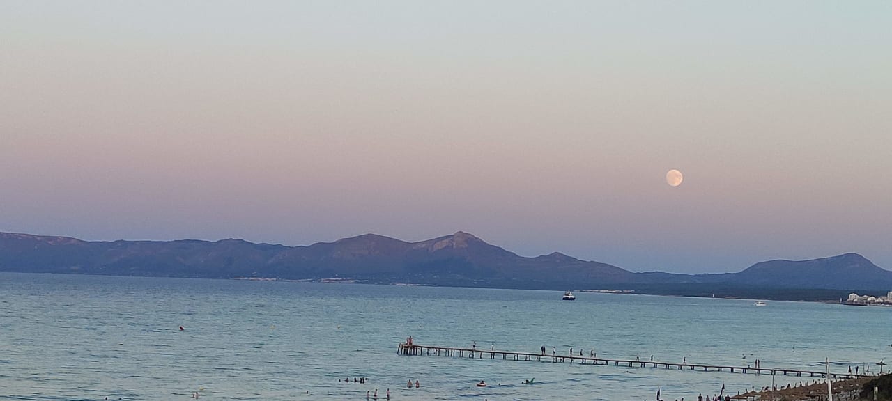 Ausblick Playa Garden Selection Hotel & Spa