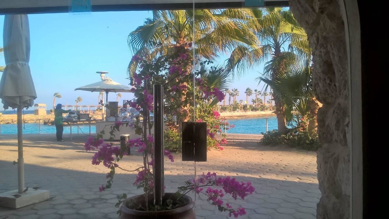 Blick aus dem Harbour Inn heraus Pickalbatros Citadel Resort