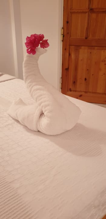 Zimmer Menaville Safaga