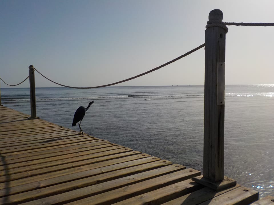 Strand Casa Mare Resort