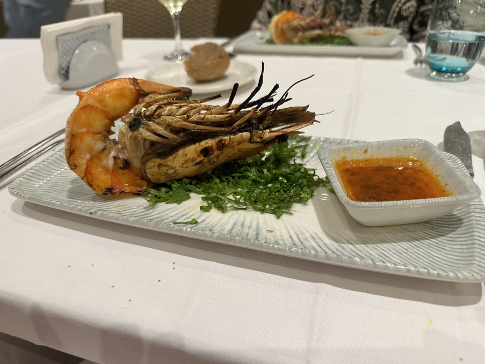 Gastro Papillon Ayscha