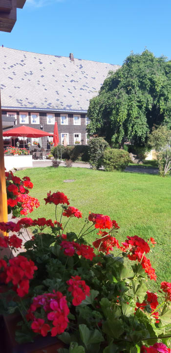 Gartenanlage Hotel Ochsen