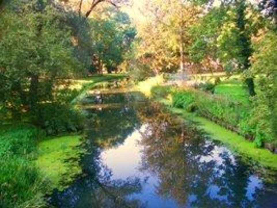 Nottekanaal Land-gut-Hotel Weißer Schwan