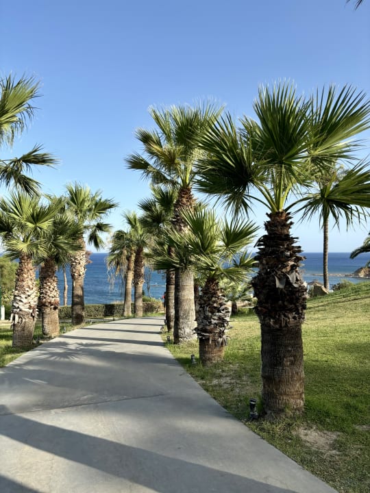 Gartenanlage Rodos Princess Beach Hotel & Spa