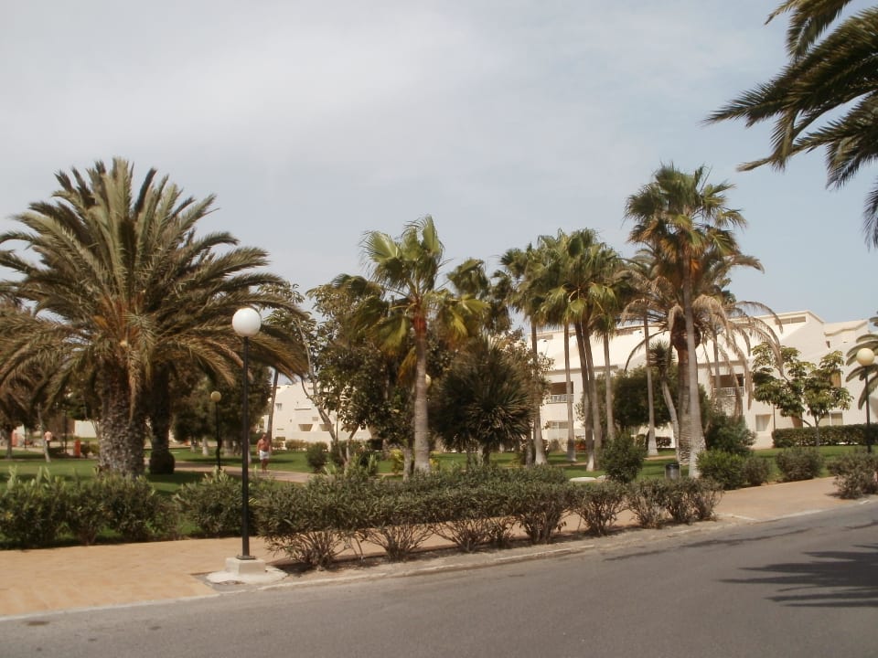 Ogród Hotel Riu Oliva Beach - Hotel