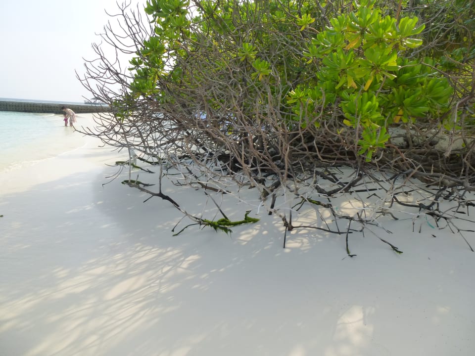 Strand Adaaran Select Meedhupparu Island Resort - Premium All Inclusive