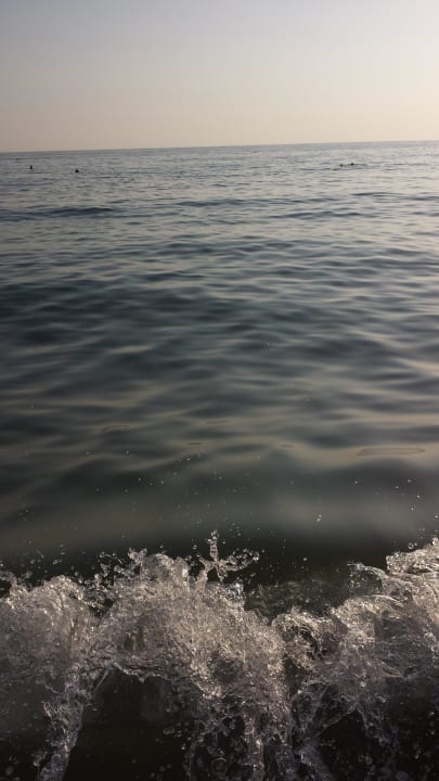 Klares wasser Venessa Beach Hotel