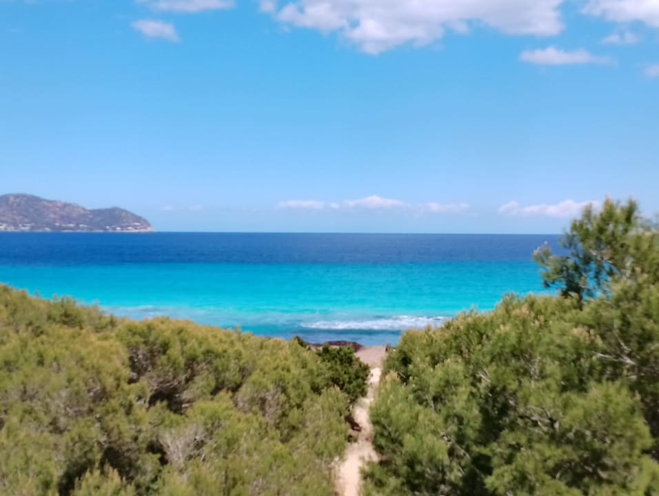 Ausblick Hipotels Bahía Cala Millor