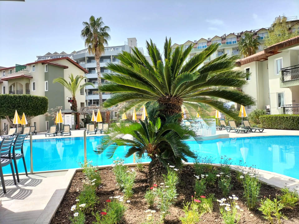 Pool Hotel Gardenia Beach