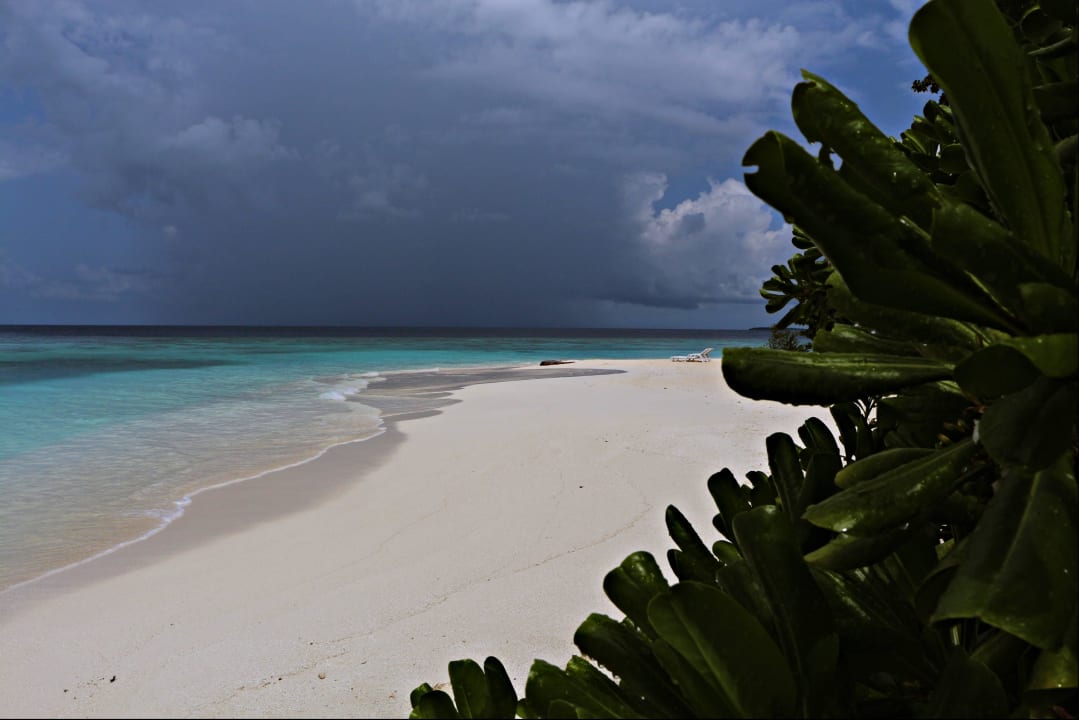 Strand an der Ostwärtigen Seite Adaaran Select Meedhupparu Island Resort - Premium All Inclusive