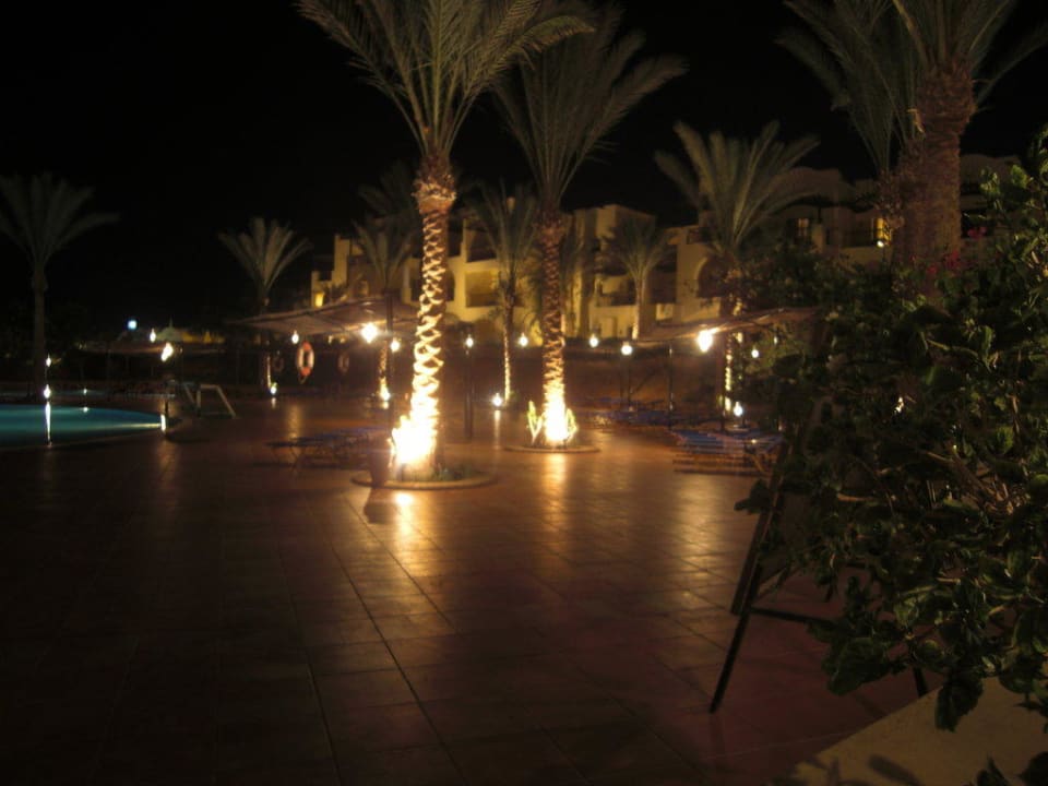 By night Jaz Solaya