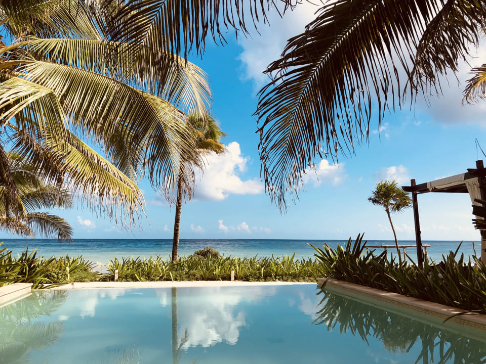 Pool Akumal Bay Beach & Wellness Resort