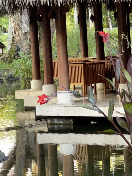 Gastro Grand Hyatt Bali