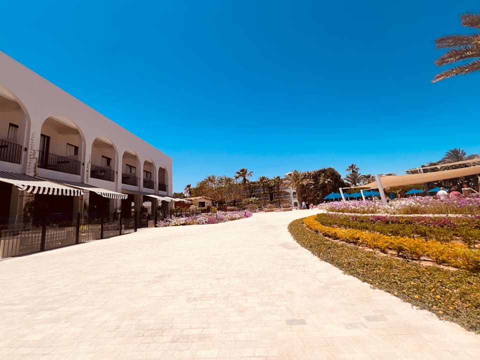 Gartenanlage Desert Rose