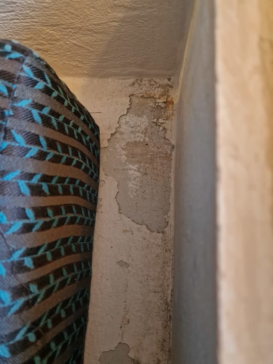 Zimmer Pickalbatros Citadel Resort