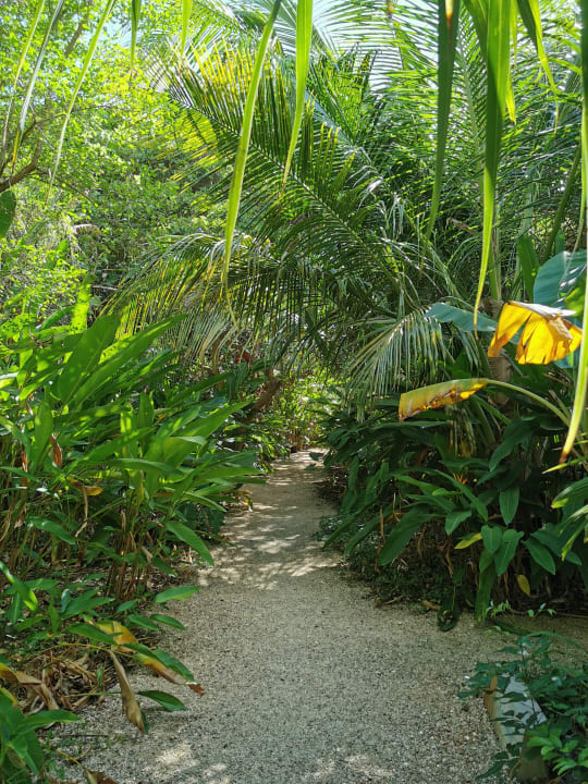 Gartenanlage Zuri Zanzibar Hotel & Resort