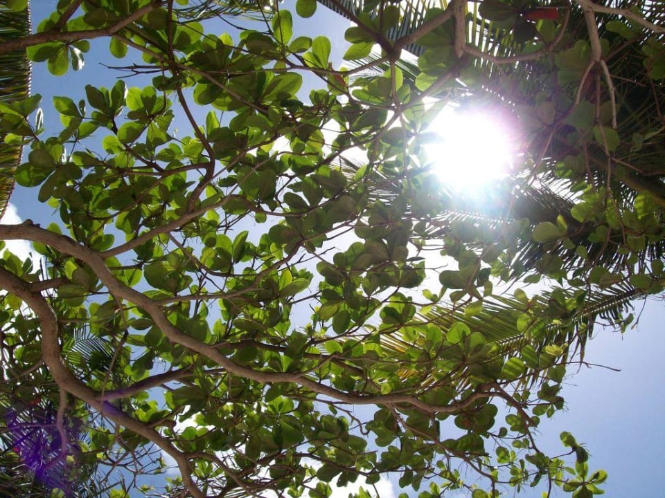 Von der Liege aus noch oben schauend Couples Tower Isle - Adults only