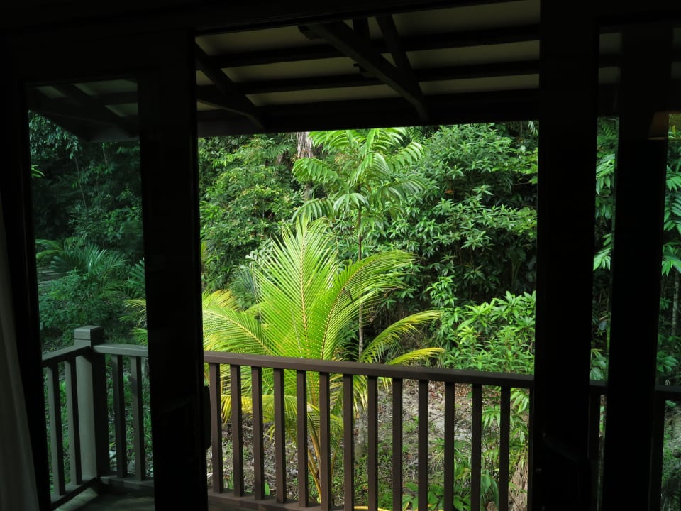 Balkon nach hinten zum Regenwald Tunamaya Resort