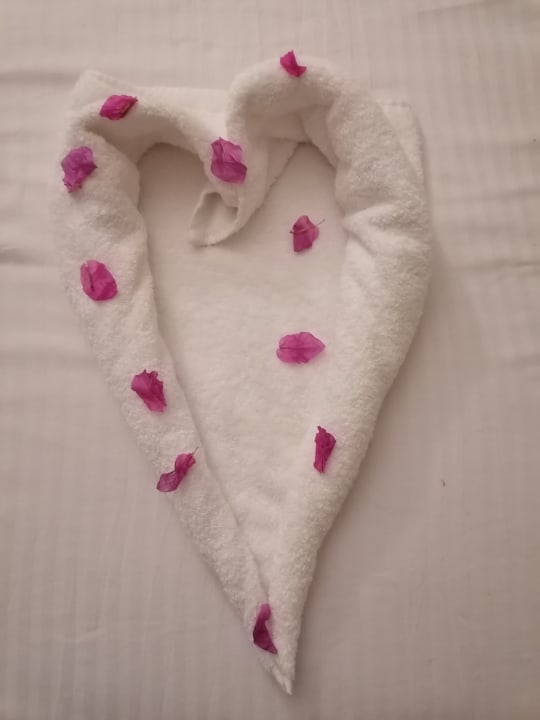 Zimmer Three Corners Sea Beach Resort